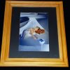 Jerry Hall signed photo - framed