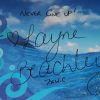 Layne Beachley signed print - framed - Image 2